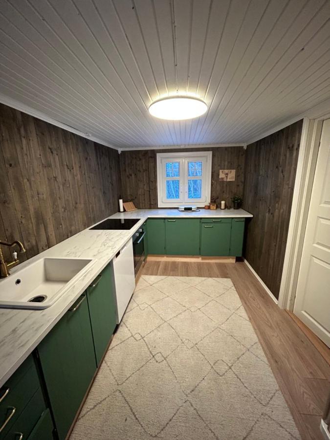 Beautiful Cabin By Mjosa. Villa Stange ภายนอก รูปภาพ